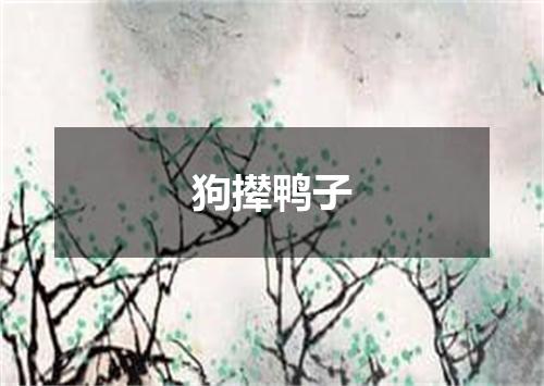 狗撵鸭子