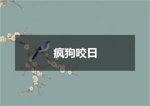 疯狗咬日