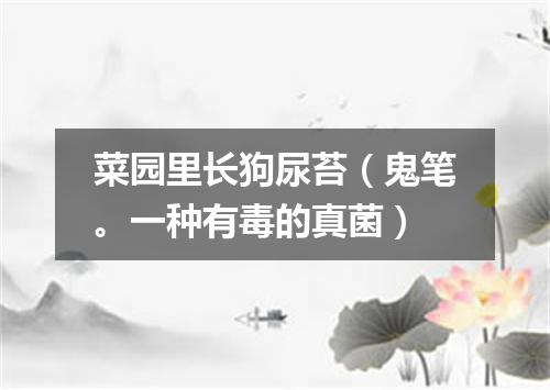 菜园里长狗尿苔（鬼笔。一种有毒的真菌）