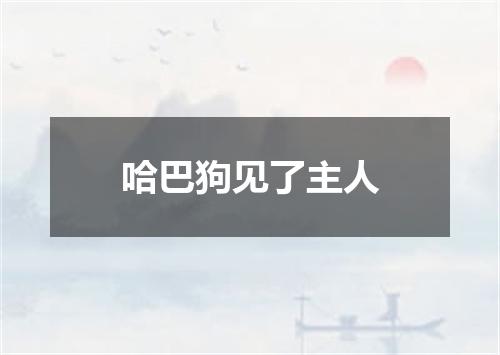 哈巴狗见了主人