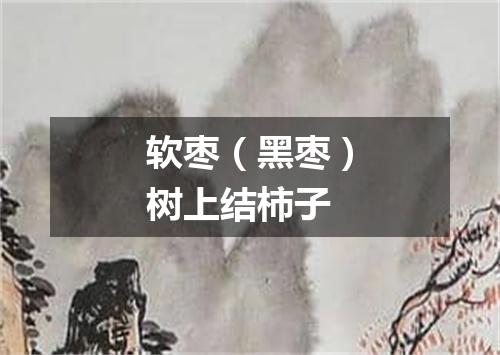 软枣（黑枣）树上结柿子