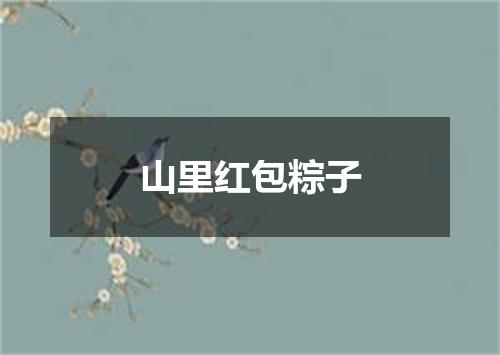 山里红包粽子