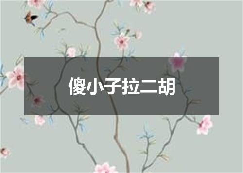 傻小子拉二胡