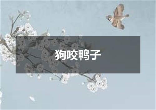 狗咬鸭子