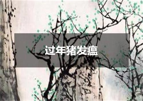 过年猪发瘟