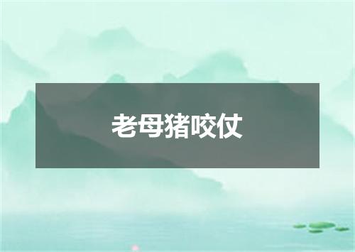 老母猪咬仗