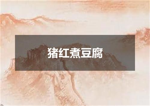 猪红煮豆腐