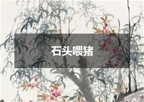 石头喂猪