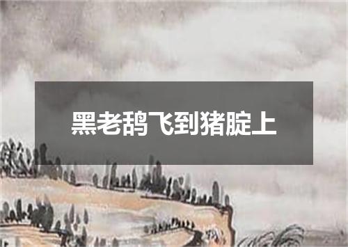 黑老鸹飞到猪腚上