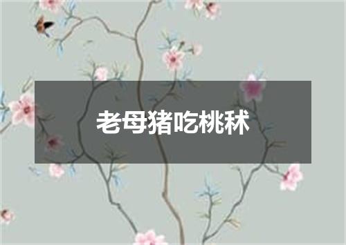 老母猪吃桃秫