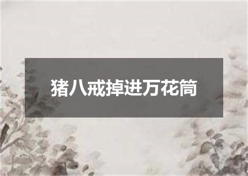 猪八戒掉进万花筒