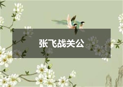 张飞战关公