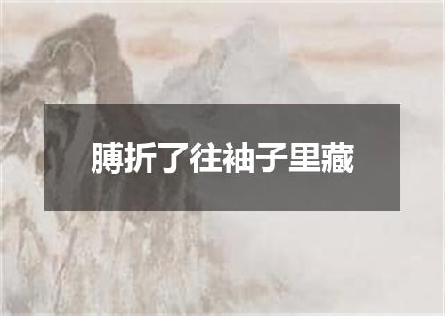 膊折了往袖子里藏