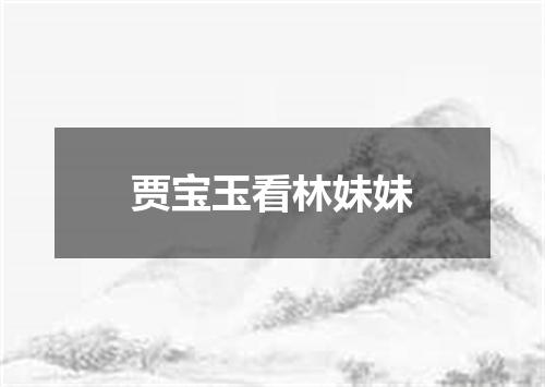 贾宝玉看林妹妹