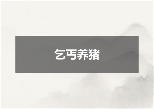 乞丐养猪