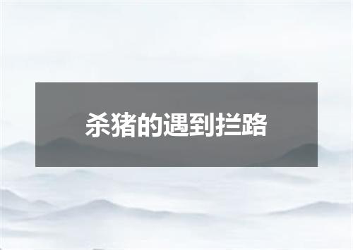 杀猪的遇到拦路