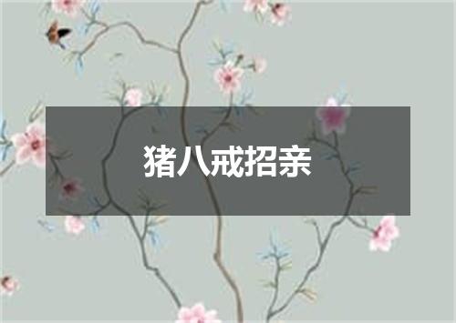 猪八戒招亲