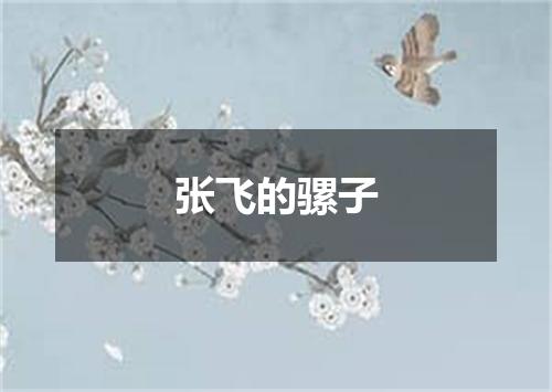 张飞的骡子