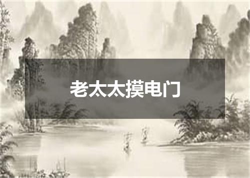 老太太摸电门