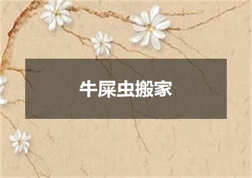 牛屎虫搬家