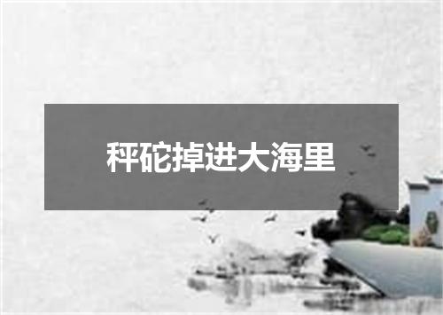 秤砣掉进大海里
