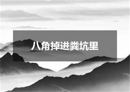 八角掉进粪坑里
