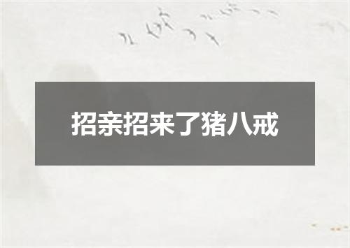 招亲招来了猪八戒
