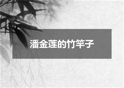 潘金莲的竹竿子