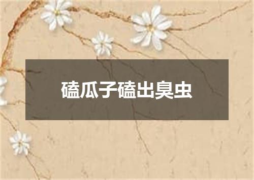 磕瓜子磕出臭虫