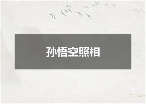孙悟空照相