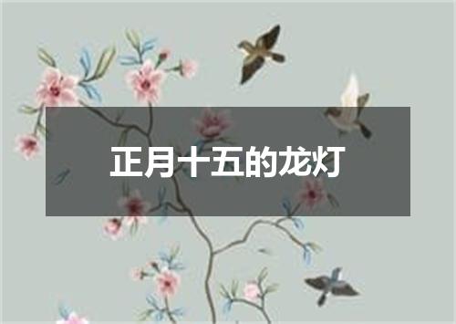 正月十五的龙灯