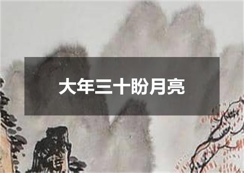 大年三十盼月亮