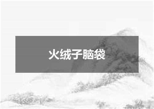 火绒子脑袋