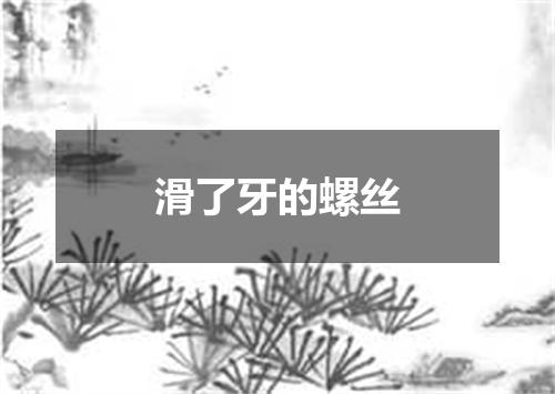 滑了牙的螺丝