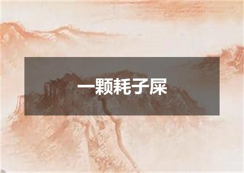 一颗耗子屎
